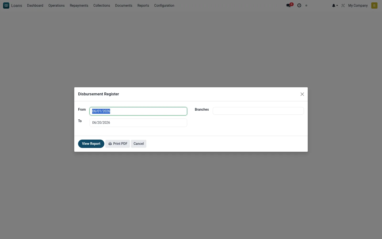 Disbursement Register (PDF)